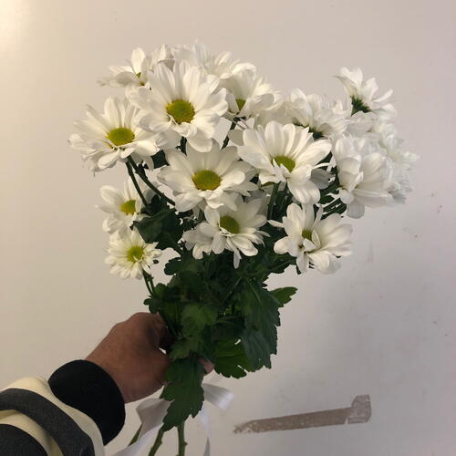 review-photo-before