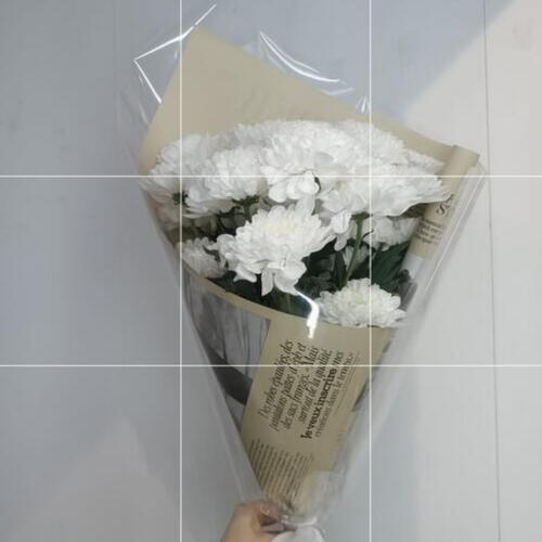 review-photo-before