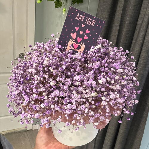 review-photo-before