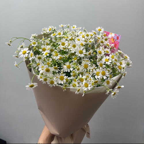 review-photo-before