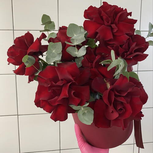 review-photo-before