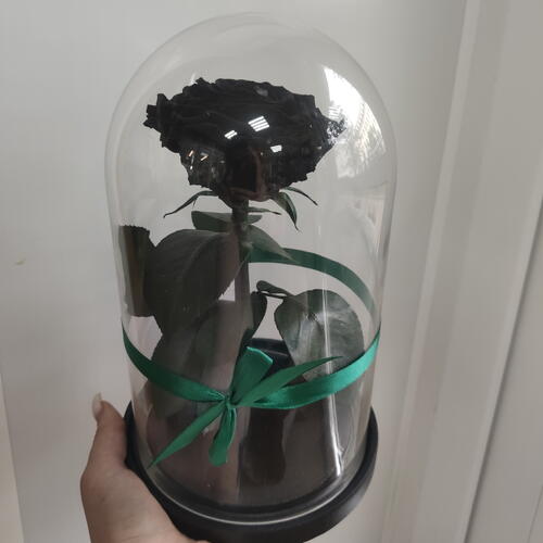 review-photo-before