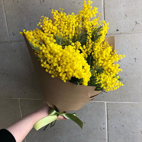 review-photo-before