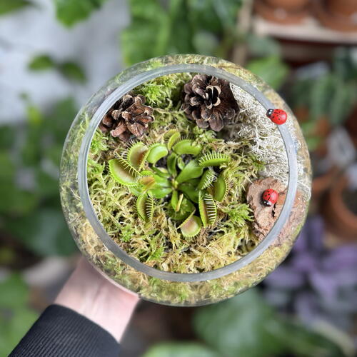 review-photo-before