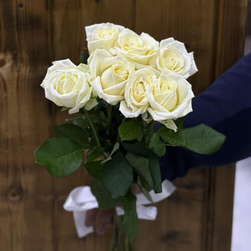 review-photo-before