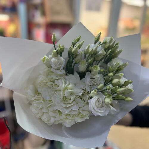 review-photo-before