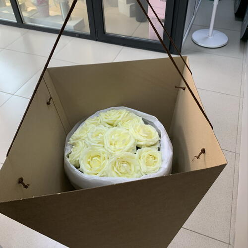 review-photo-before