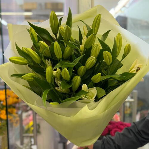 review-photo-before