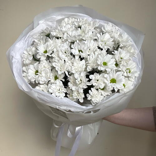 review-photo-before