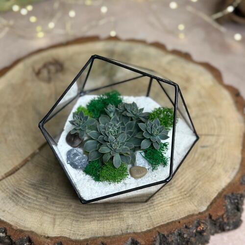 review-photo-before