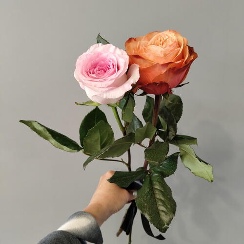 review-photo-before