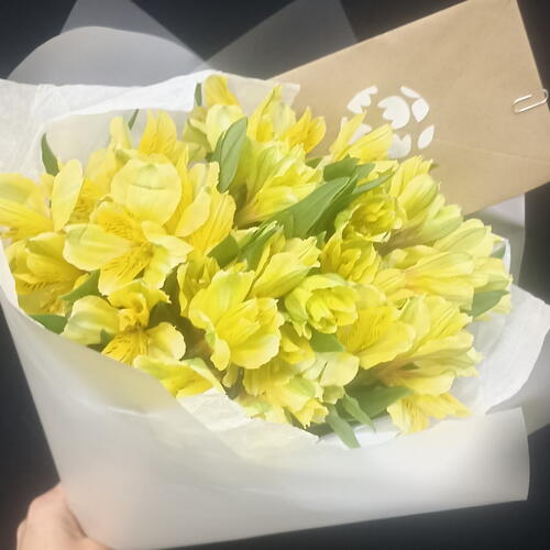 review-photo-before