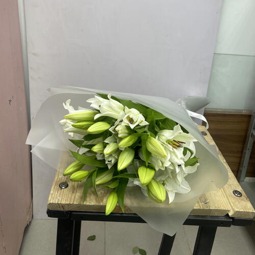review-photo-before