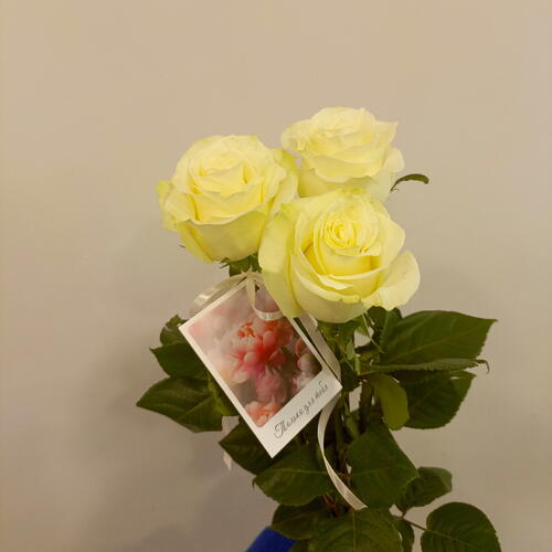 review-photo-before
