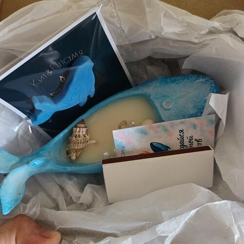 review-photo-before
