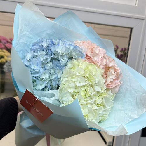 review-photo-before