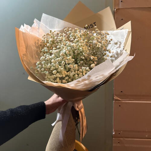 review-photo-before