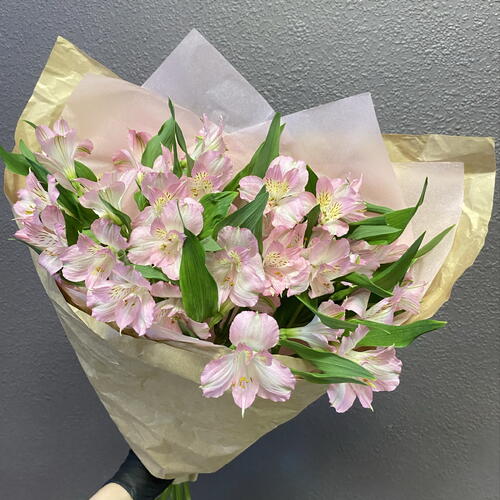 review-photo-before