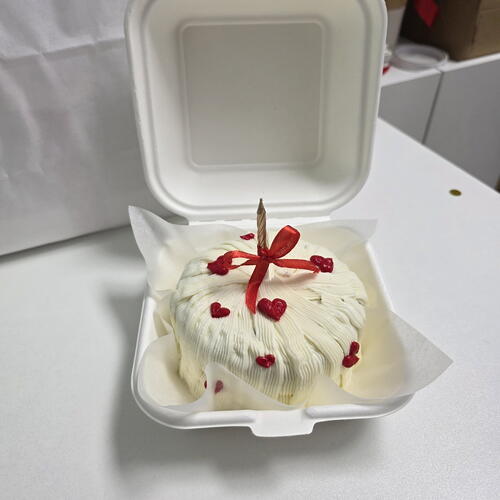 review-photo-before