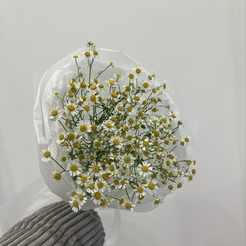 review-photo-before