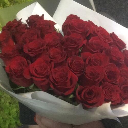 review-photo-before