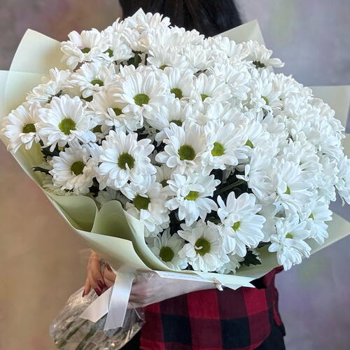 review-photo-before