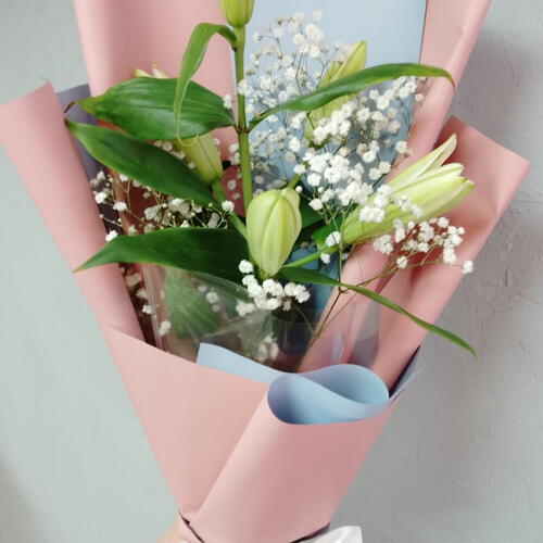 review-photo-before