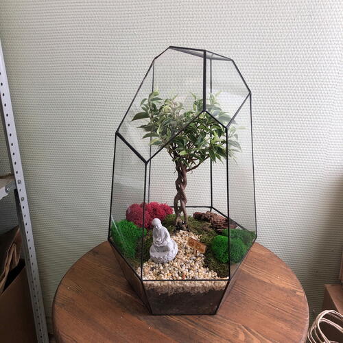review-photo-before