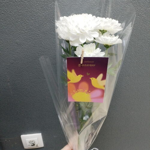 review-photo-before