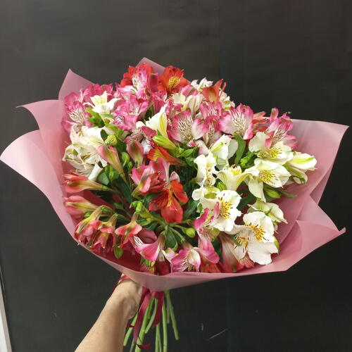 review-photo-before