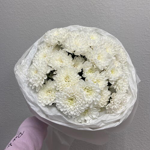 review-photo-before