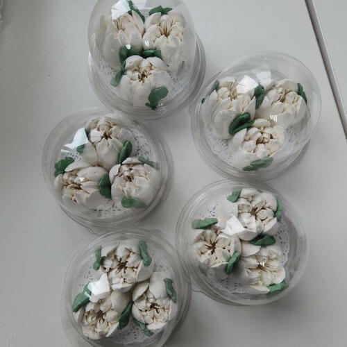 review-photo-before