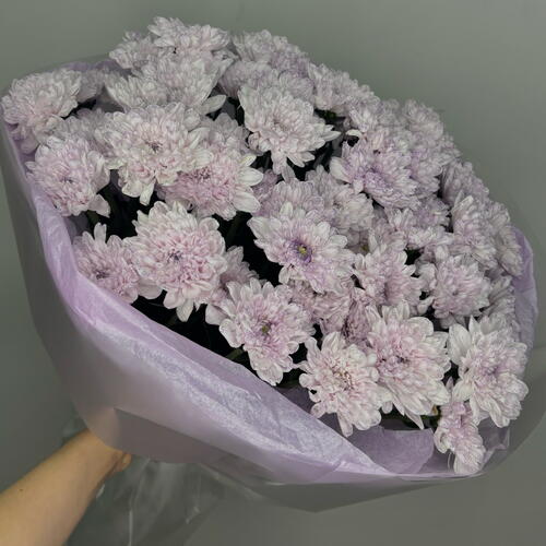 review-photo-before