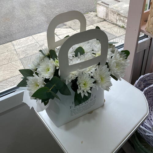 review-photo-before