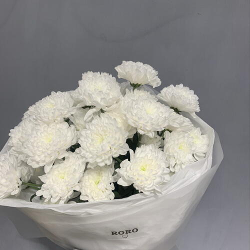 review-photo-before