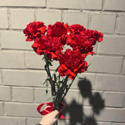 review-photo-before