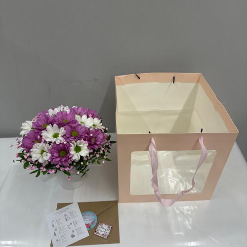 review-photo-before