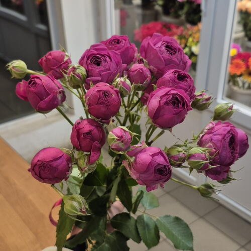 review-photo-before
