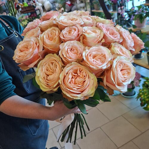 review-photo-before