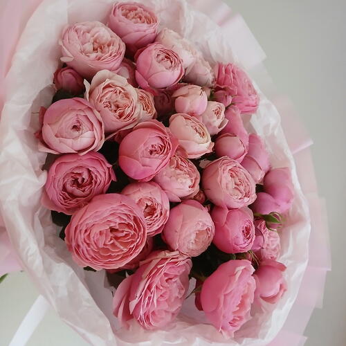 review-photo-before