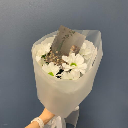 review-photo-before