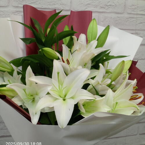review-photo-before