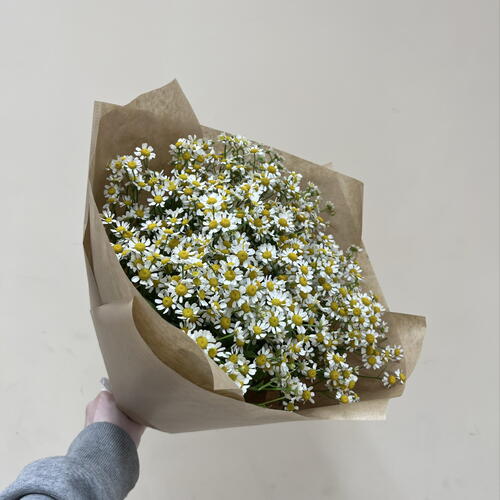 review-photo-before
