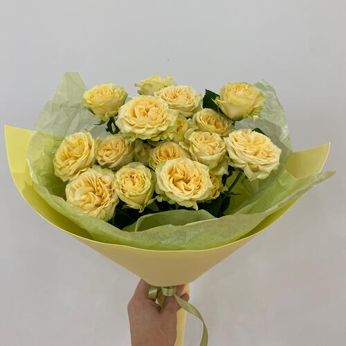 review-photo-before