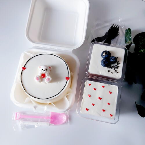 review-photo-before