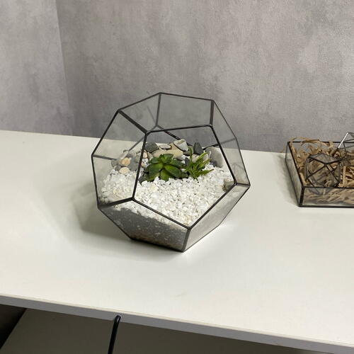 review-photo-before