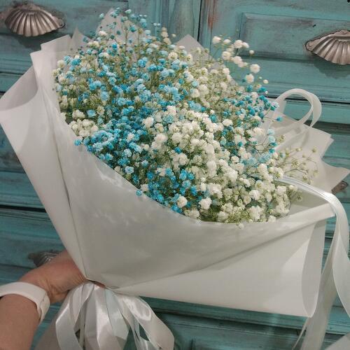 review-photo-before