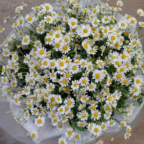 review-photo-before