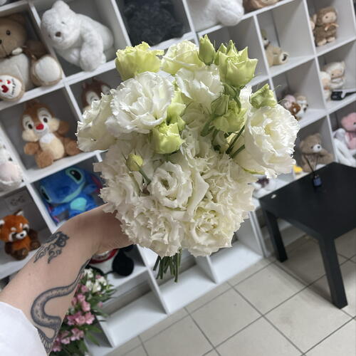 review-photo-before