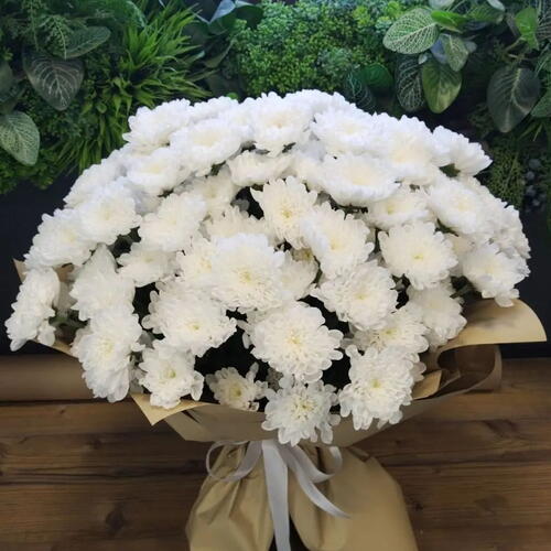 review-photo-before